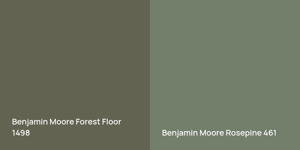 Benjamin Moore Forest Floor vs. Benjamin Moore Rosepine