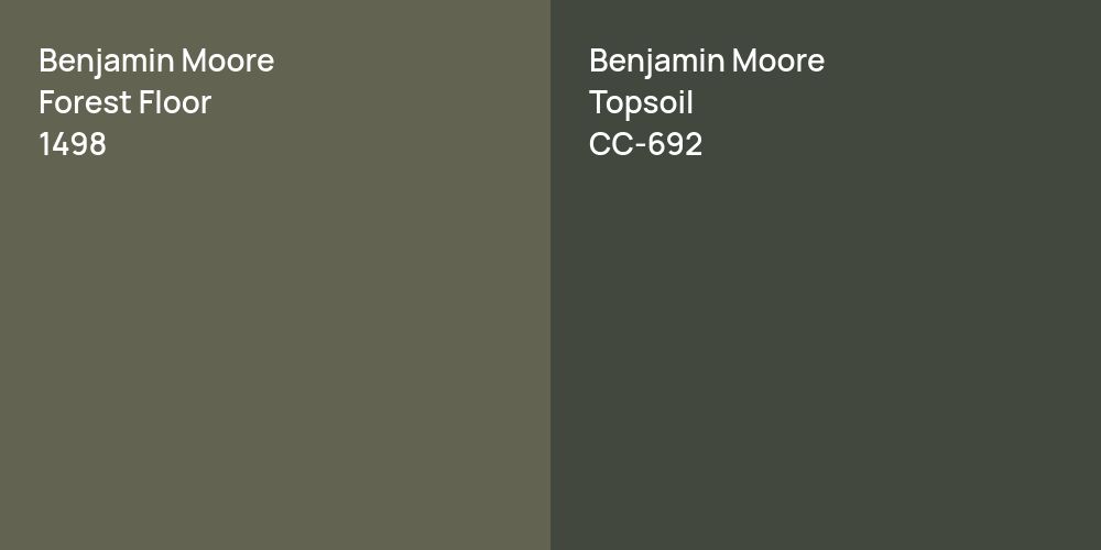 Benjamin Moore Forest Floor vs. Benjamin Moore Topsoil