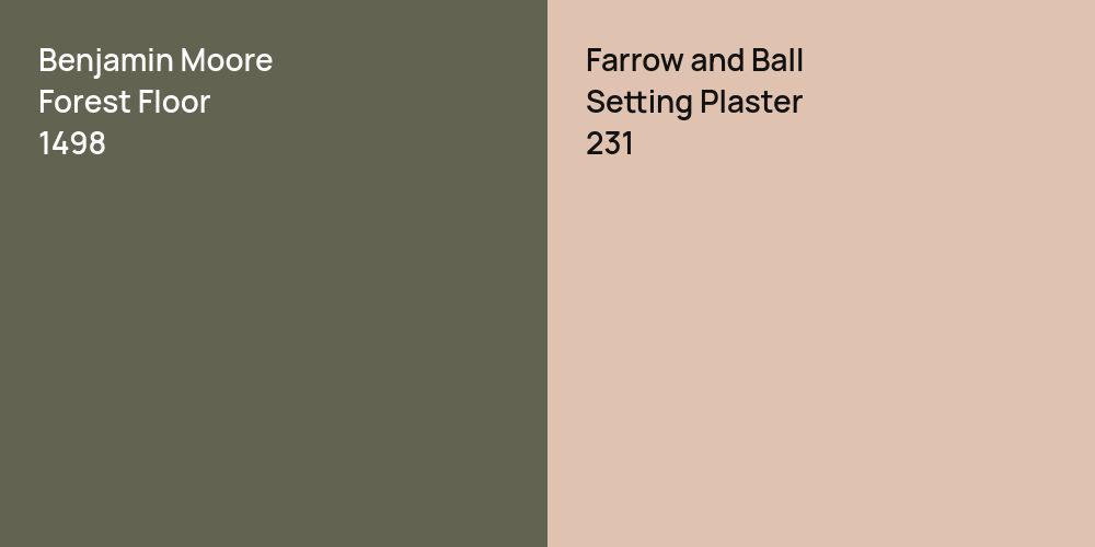 Benjamin Moore Forest Floor vs. Farrow and Ball Setting Plaster