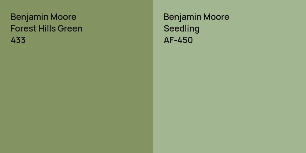 Benjamin Moore Forest Hills Green vs. Benjamin Moore Seedling