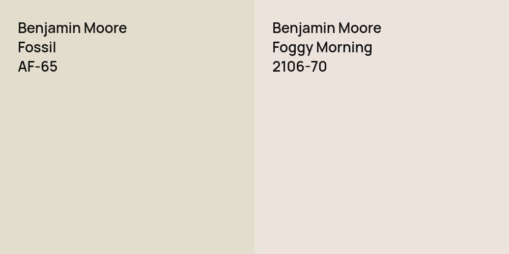 Benjamin Moore Fossil vs. Benjamin Moore Foggy Morning