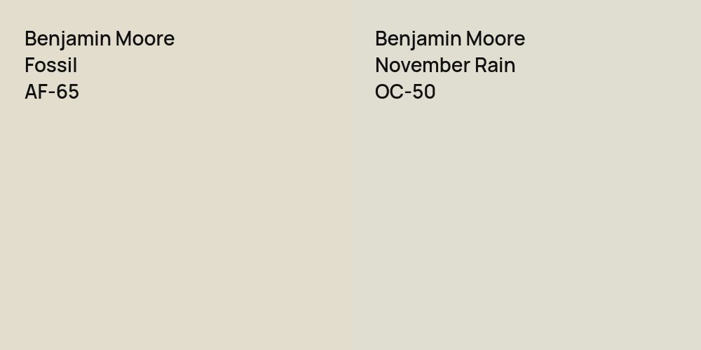 Benjamin Moore Fossil vs. Benjamin Moore November Rain