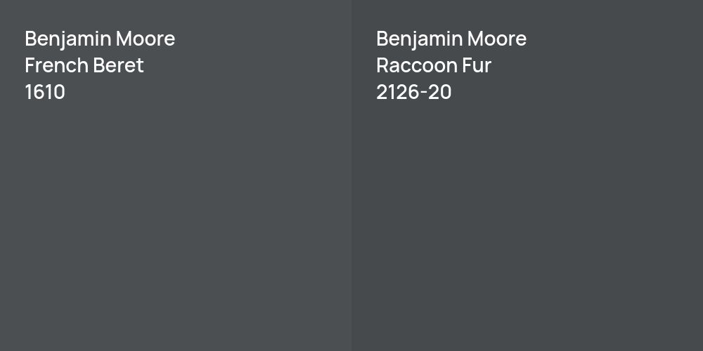 Benjamin Moore French Beret vs. Benjamin Moore Raccoon Fur