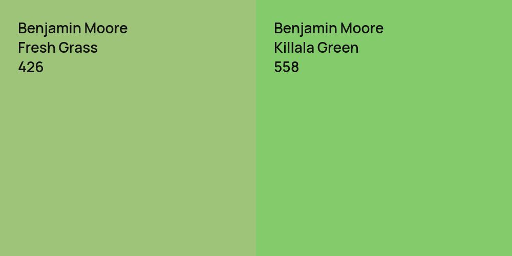 Benjamin Moore Fresh Grass vs. Benjamin Moore Killala Green