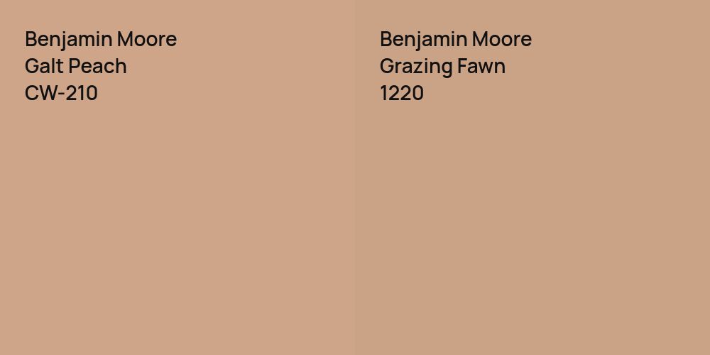 Benjamin Moore Galt Peach vs. Benjamin Moore Grazing Fawn