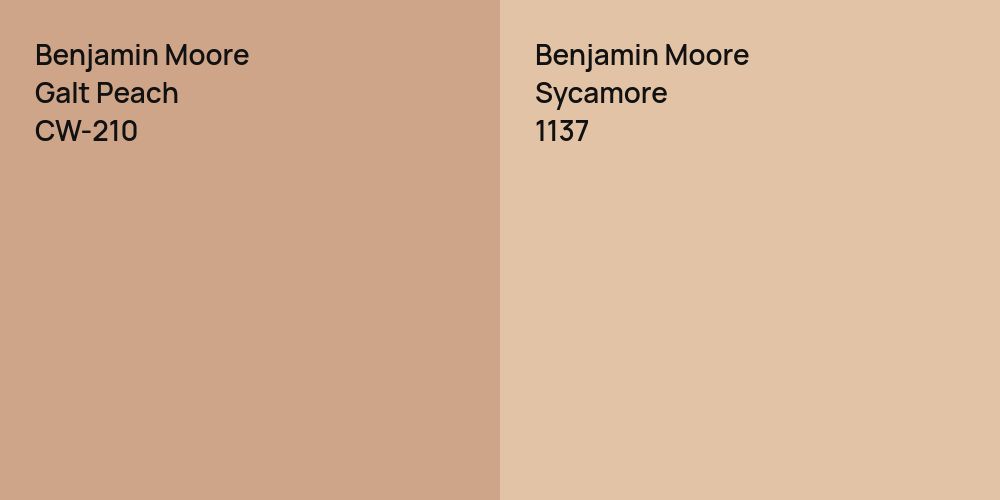 Benjamin Moore Galt Peach vs. Benjamin Moore Sycamore