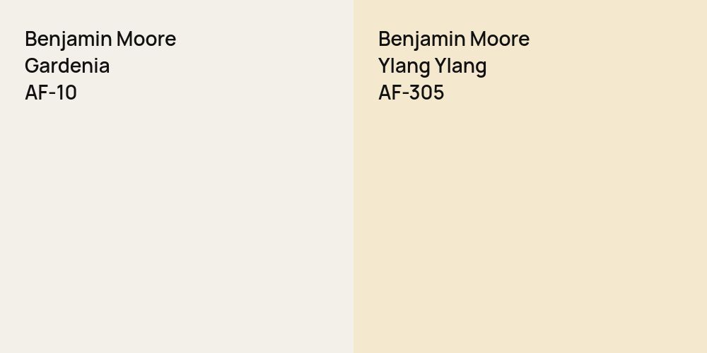 Benjamin Moore Gardenia vs. Benjamin Moore Ylang Ylang