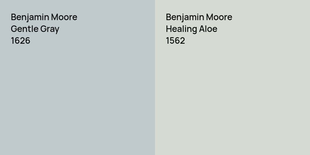 Benjamin Moore Gentle Gray vs. Benjamin Moore Healing Aloe