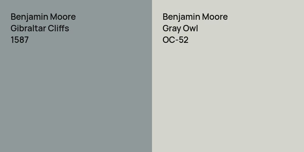 Benjamin Moore Gibraltar Cliffs vs. Benjamin Moore Gray Owl