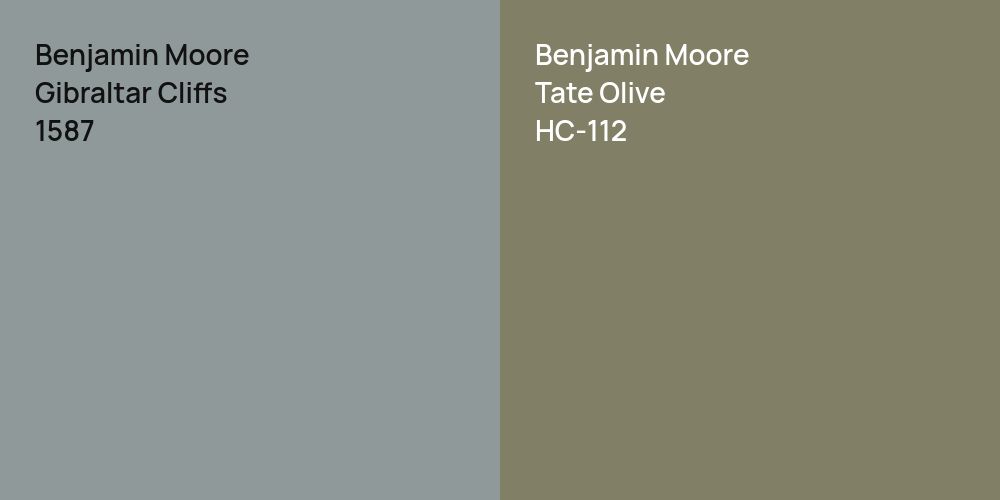 Benjamin Moore Gibraltar Cliffs vs. Benjamin Moore Tate Olive