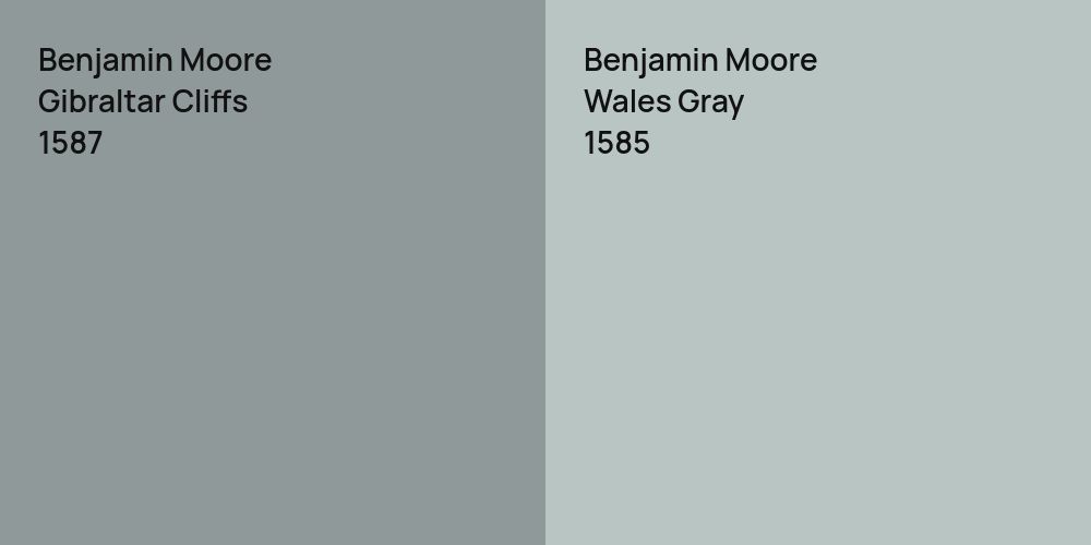 Benjamin Moore Gibraltar Cliffs vs. Benjamin Moore Wales Gray