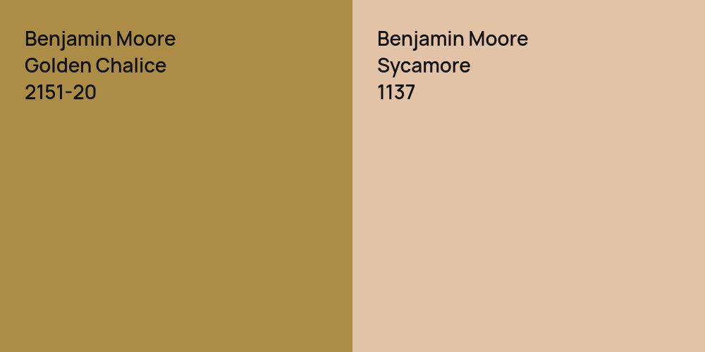 Benjamin Moore Golden Chalice vs. Benjamin Moore Sycamore