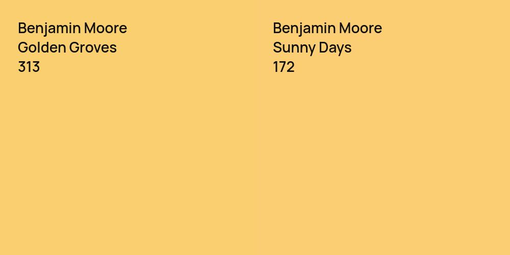 Benjamin Moore Golden Groves vs. Benjamin Moore Sunny Days