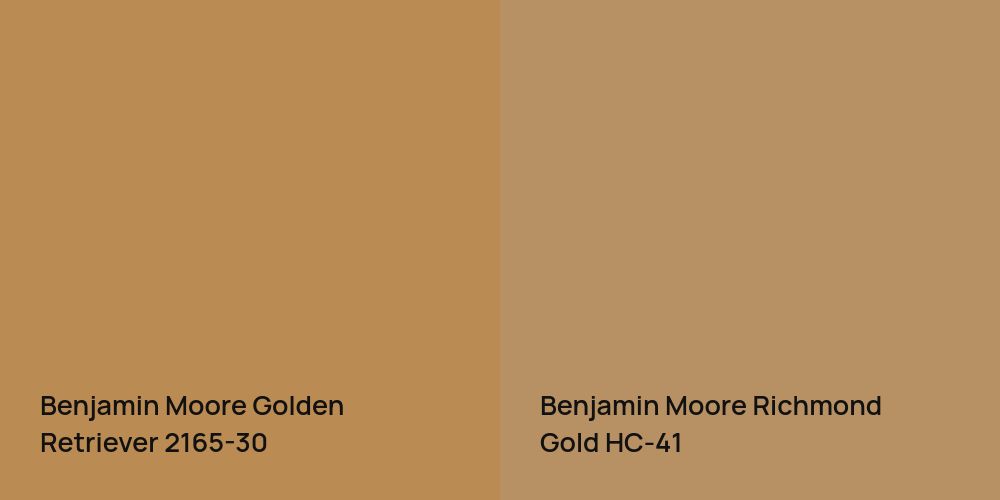 Benjamin Moore Golden Retriever vs. Benjamin Moore Richmond Gold