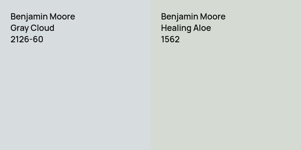 Benjamin Moore Gray Cloud vs. Benjamin Moore Healing Aloe