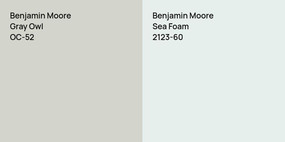 Benjamin Moore Gray Owl vs. Benjamin Moore Sea Foam