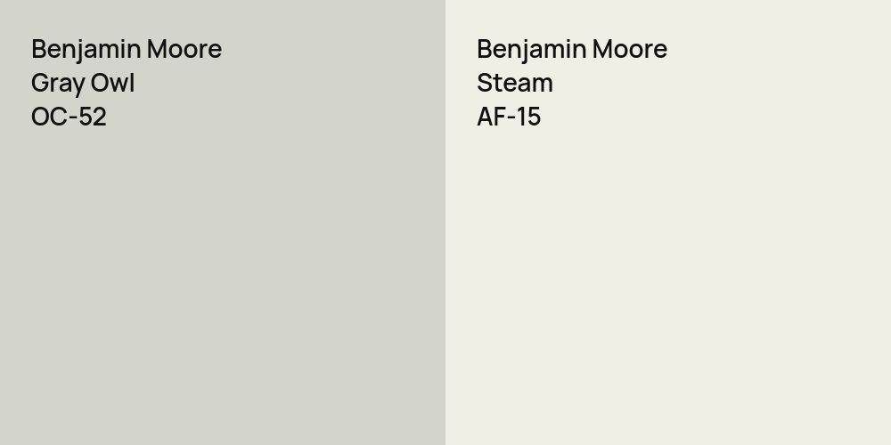 Benjamin Moore Gray Owl vs. Benjamin Moore Steam