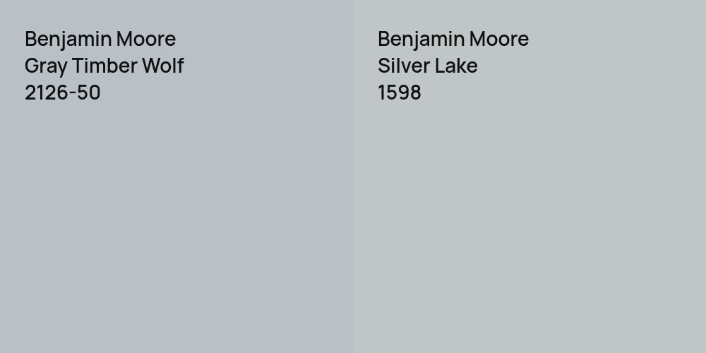 Benjamin Moore Gray Timber Wolf vs. Benjamin Moore Silver Lake