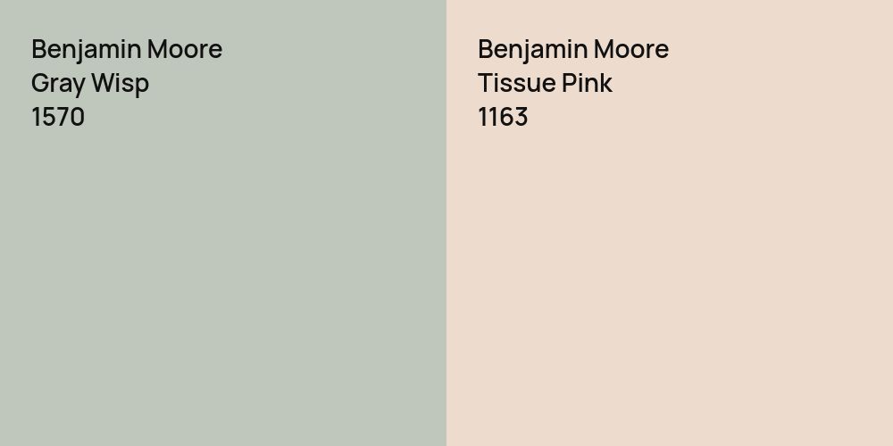 Benjamin Moore Gray Wisp vs. Benjamin Moore Tissue Pink