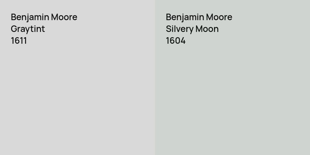 Benjamin Moore Graytint vs. Benjamin Moore Silvery Moon