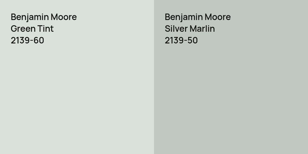 Benjamin Moore Green Tint vs. Benjamin Moore Silver Marlin