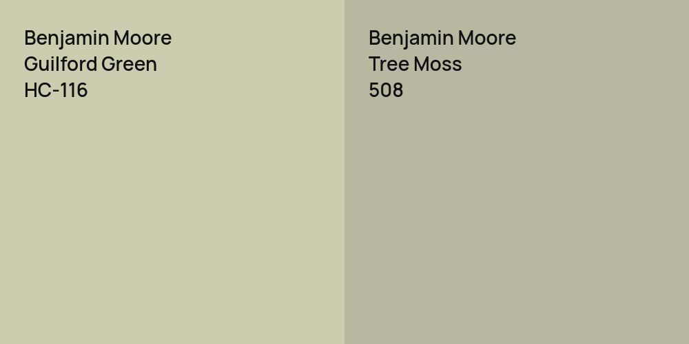 Benjamin Moore Guilford Green vs. Benjamin Moore Tree Moss