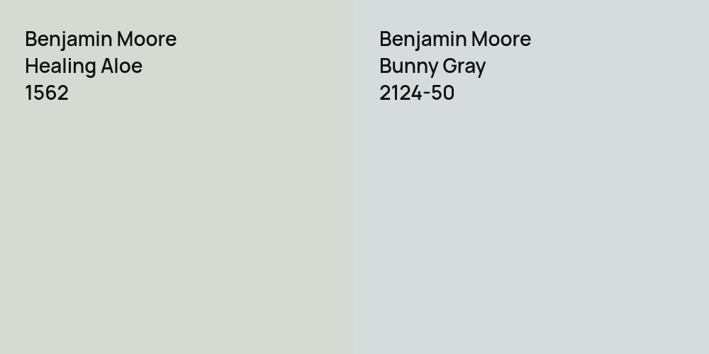 Benjamin Moore Healing Aloe vs. Benjamin Moore Bunny Gray