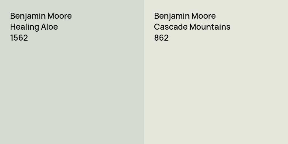 Benjamin Moore Healing Aloe vs. Benjamin Moore Cascade Mountains