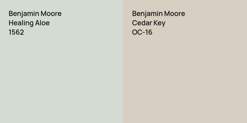 Benjamin Moore Healing Aloe vs. Benjamin Moore Cedar Key