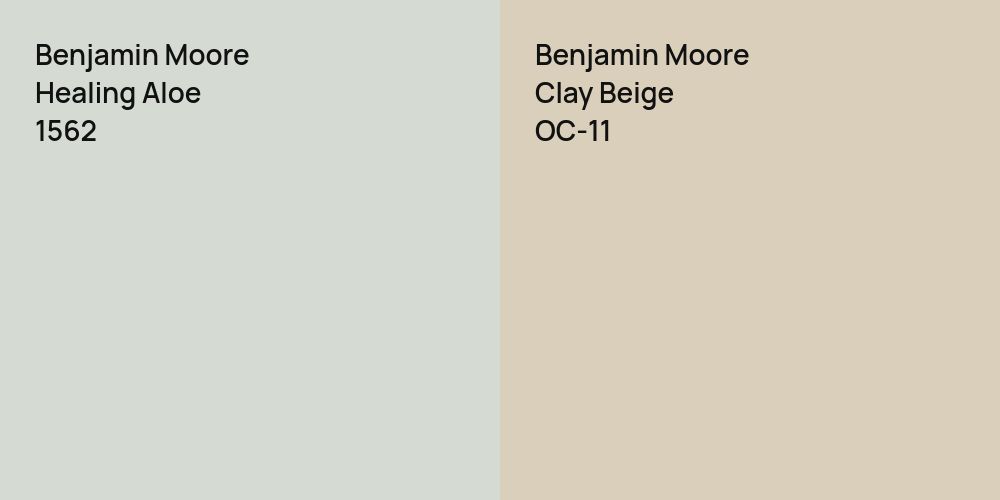 Benjamin Moore Healing Aloe vs. Benjamin Moore Clay Beige