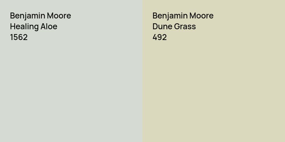 Benjamin Moore Healing Aloe vs. Benjamin Moore Dune Grass