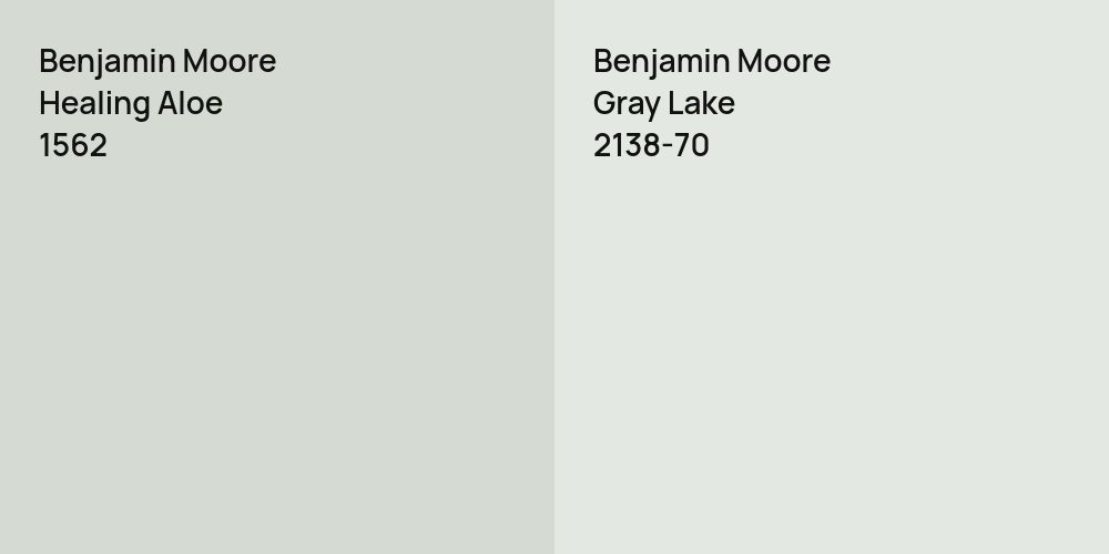 Benjamin Moore Healing Aloe vs. Benjamin Moore Gray Lake