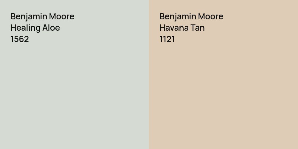 Benjamin Moore Healing Aloe vs. Benjamin Moore Havana Tan