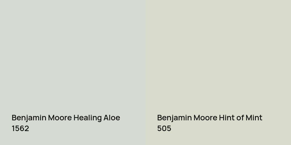 Benjamin Moore Healing Aloe vs. Benjamin Moore Hint of Mint