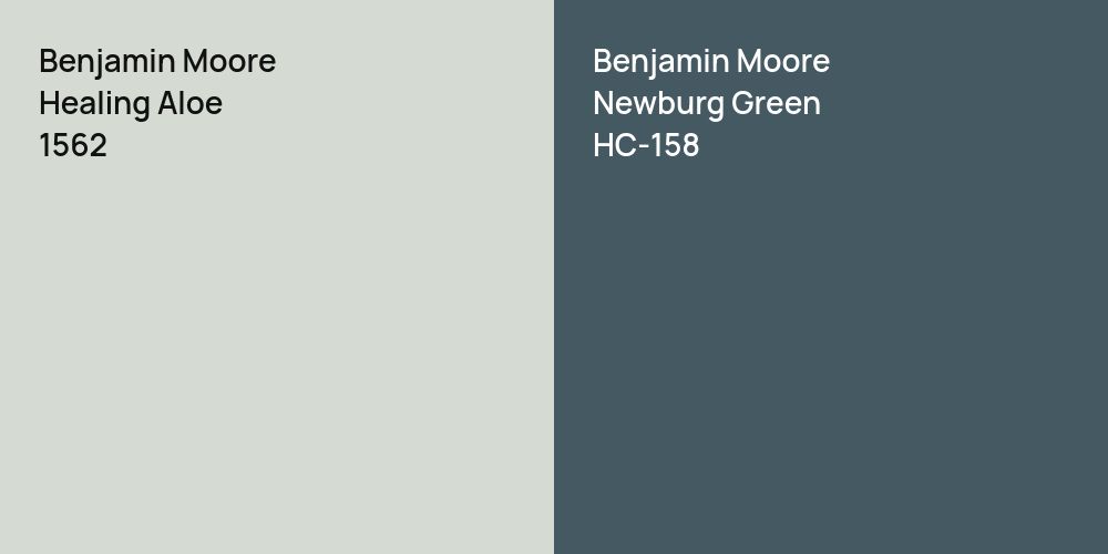 Benjamin Moore Healing Aloe vs. Benjamin Moore Newburg Green