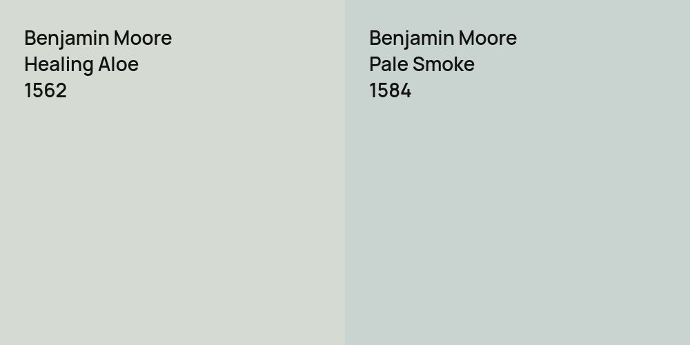 Benjamin Moore Healing Aloe vs. Benjamin Moore Pale Smoke