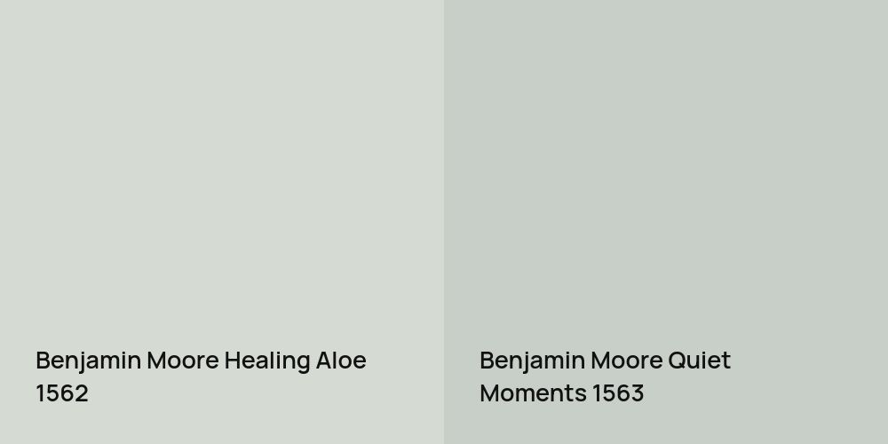 Benjamin Moore Healing Aloe vs. Benjamin Moore Quiet Moments