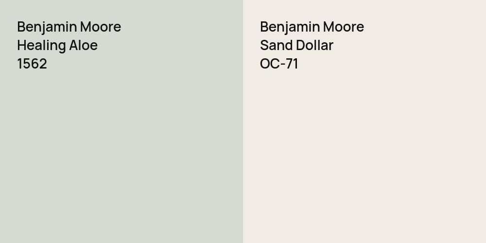 Benjamin Moore Healing Aloe vs. Benjamin Moore Sand Dollar