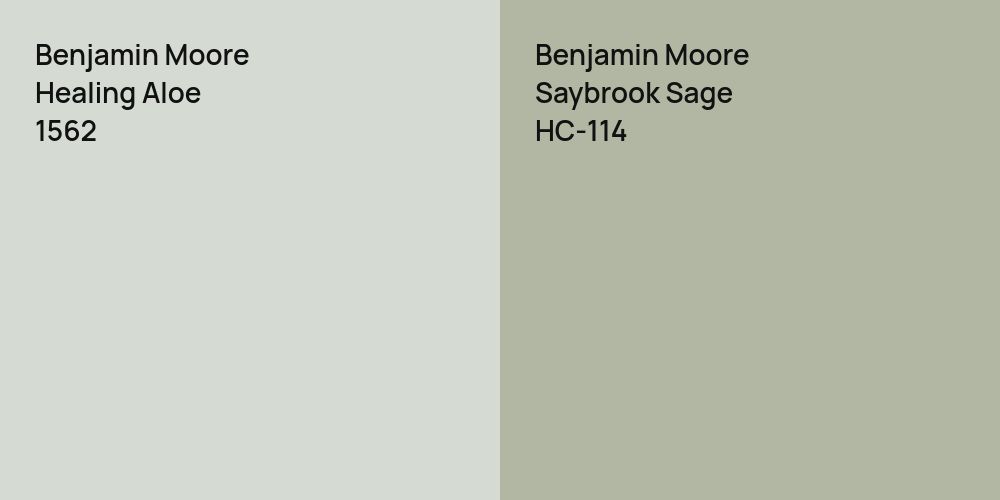 Benjamin Moore Healing Aloe vs. Benjamin Moore Saybrook Sage