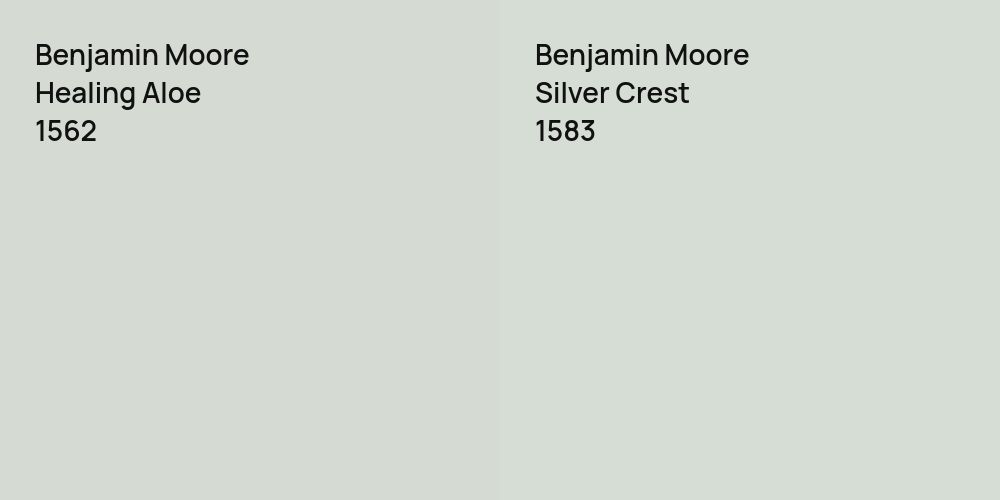 Benjamin Moore Healing Aloe vs. Benjamin Moore Silver Crest