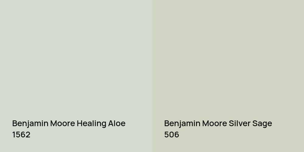 Benjamin Moore Healing Aloe vs. Benjamin Moore Silver Sage