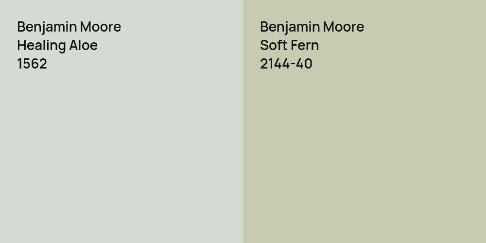 Benjamin Moore Healing Aloe vs. Benjamin Moore Soft Fern