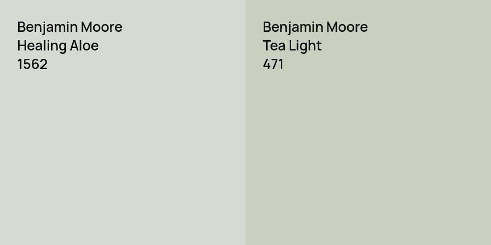 Benjamin Moore Healing Aloe vs. Benjamin Moore Tea Light