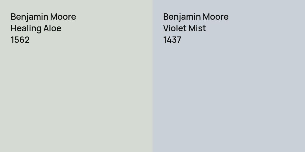 Benjamin Moore Healing Aloe vs. Benjamin Moore Violet Mist