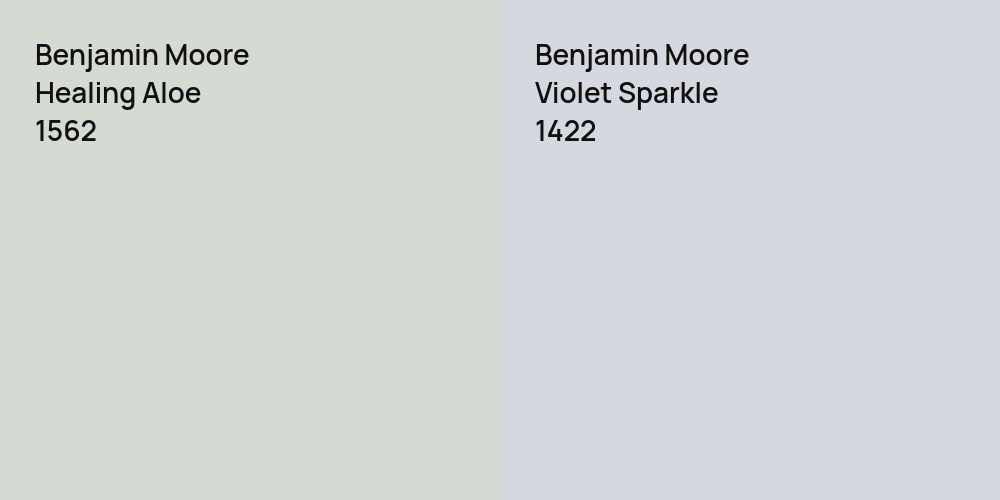 Benjamin Moore Healing Aloe vs. Benjamin Moore Violet Sparkle