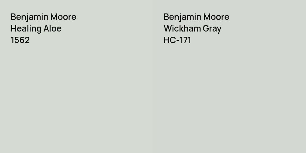 Benjamin Moore Healing Aloe vs. Benjamin Moore Wickham Gray