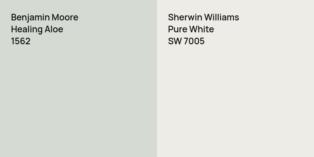 Benjamin Moore Healing Aloe vs. Sherwin Williams Pure White