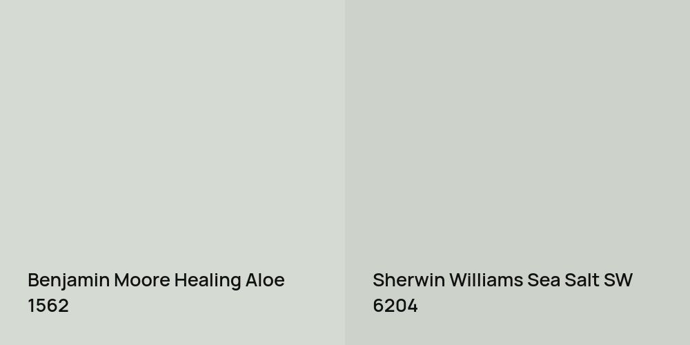 Benjamin Moore Healing Aloe vs. Sherwin Williams Sea Salt