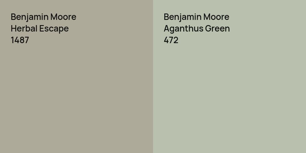 Benjamin Moore Herbal Escape vs. Benjamin Moore Aganthus Green