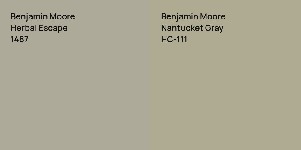 Benjamin Moore Herbal Escape vs. Benjamin Moore Nantucket Gray